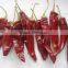 China Exported Dry Red Chilli ,yidu Pepper