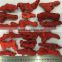 Wholesale Red Coral Natural Dyed in Red Rough Natural Big Red CoralChina Direct Manufacturer