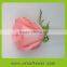 Hot sale antirrhinum rose seedlings