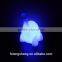 RGB color led dinosaur night light for kids with battery