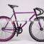 High Quality Cheap Custom Most Popular Classic Lady Iron Frame Single Fixed Gear Bike KB-700C-M16084