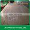 DUK -High Quality FULL LARCH PLYWOOD 4.5mm,7.5mm,11.5mm ,17.5mm