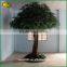 Hot sale artificial Banyan tree fiberglass artificial Ficus tree loutdoor & indoor decor artificial Banyan tree