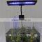 China  hot sale  cheap aquarium fish tank overhand RGB clip led light