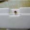 plasitc used mould