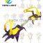 Ice Crampon