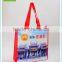 Wenzhou wholesale cheap non woven polypropylene bag