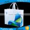 shopping bag wholesale/disposable reuseable economic plastic shopping bag