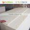 China Wood Timber Commercial Pine Plywood