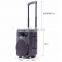 8 inch bluetooth speaker professional with wireless microphone and remote control DP-08