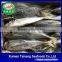 China Best price Frozen Jack Mackerel/Horse Mackerel