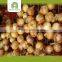 Hot selling chinese yellow onions with great price