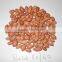 INDIAN EXPORTER 60/70 BOLD PEANUT KERNEL