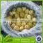 2015 crop Canned mushroom in brine