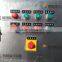 Small Automatic Electric Vegetable and Fruit Washing Machine