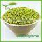 2015 Chinese New Crop Green Mung Bean,Green Mung Bean Seed