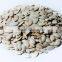 2016 new crop dried raw white watermelon seeds