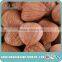 the best seller of raw bitter apricot seeds kernels bulk buy from China