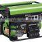 Small Size Biogas Power Generator