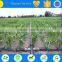 Drip irrigation system/irrigation pipe in rubber plastic
