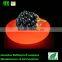 led waterproof decorative plated fruit tray PE glowing fruit bowl decoration