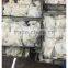 Frozen Giant Peru fillet squid neck Size 500+ on sale