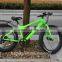 48V 750W big power electric fat tire bicycle ATV ebike mountain bike