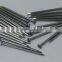 zinc plated /galvanised concrete nails/cement nails