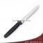 High Quality Stainless Steel Serrated Steak Knife With TPR Coating Handle (HF-44)