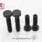 Non Standard Round Head Frange Special Bolts