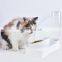 Amazon Hot Sell Dogs Cats Double Bevel Bowls Pet Feeder Eco-friendly Plastic Water Disposer