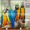 I@home Mildew Resistant Waterproof 3d Digital Eco Friendly Funny Printed Shower Curtain Bird Bathroom