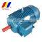 YE2 series 3 phase ac motor factory customized