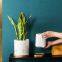 Marbled White And Gold Nordic Ins Style Breathable Succulent Tray Ceramic Vase For Home Gardening