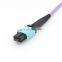 MTP Om4 50/125 Multi-Mode 8/12-fiber MTP MPO Fiber Optic Patch Cord
