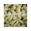 Direct Selling 500g/1kg/2kg/10kg/20kg Yellow Chopped Frozen Dice Ginger Convenient