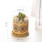 Hot Selling Modern Garden Pots Cheap Ceramic Succulent Unique Small Indoor Cute Flower Pot