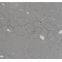 Code：6211，Calacatta artificial stone quartz slab kitchen countertops
