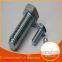 hot-dip galvanized bolt, outer hexagonal photovoltaic power tower bolt m6 - m14, customizable support
