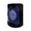 Portable 6.5 Inch Active Stereo 12W High Power Wired Microphone Support Multiple Playback Modes Speaker