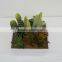 Best selling series artificial plants artificial succulent/cactus arrangement wholesale for decorating
