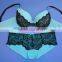 Sexy Lace Bra Panty Set ,plus Size Bra Set