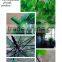 New plastic pvc poe environmental protection printing umbrella