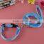 Popular Customized Glowing Collars And Leashes For Dog