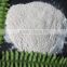 Open Air Cultivation Type Garlic Powder With Best Price