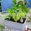 MIni Aquaponicals Hydroponics Aquaponics system for greenhouse/indoor planting system/garden decoration/