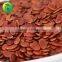 Water Melon Hybride China Supplier