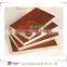 Linyi SUNEAST Blockboard price,Red Oak Wood Veneer Blockboard