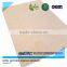 jinjiang shoes insole board manufacturers supply insole board