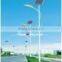 36w High efficiency solar LED Light
